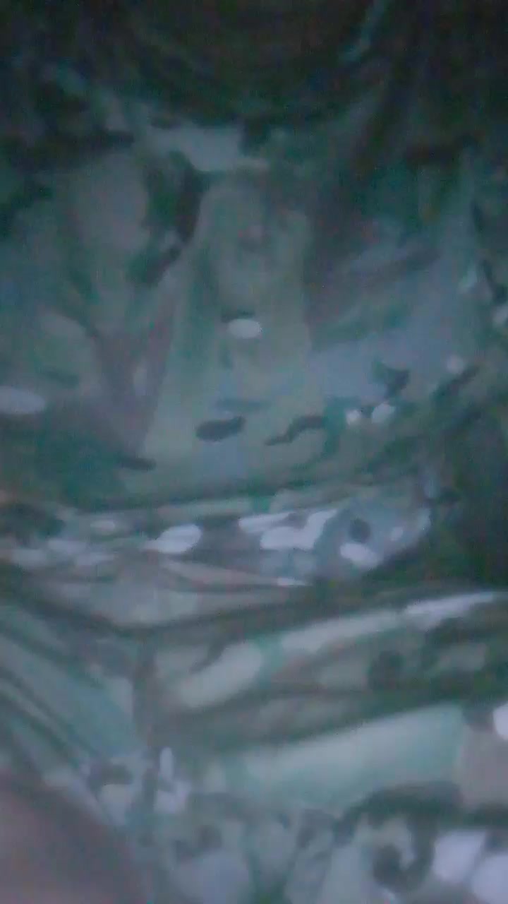 Agamala2 Live Cam Screenshot – 2025-08-31 02:04:12
