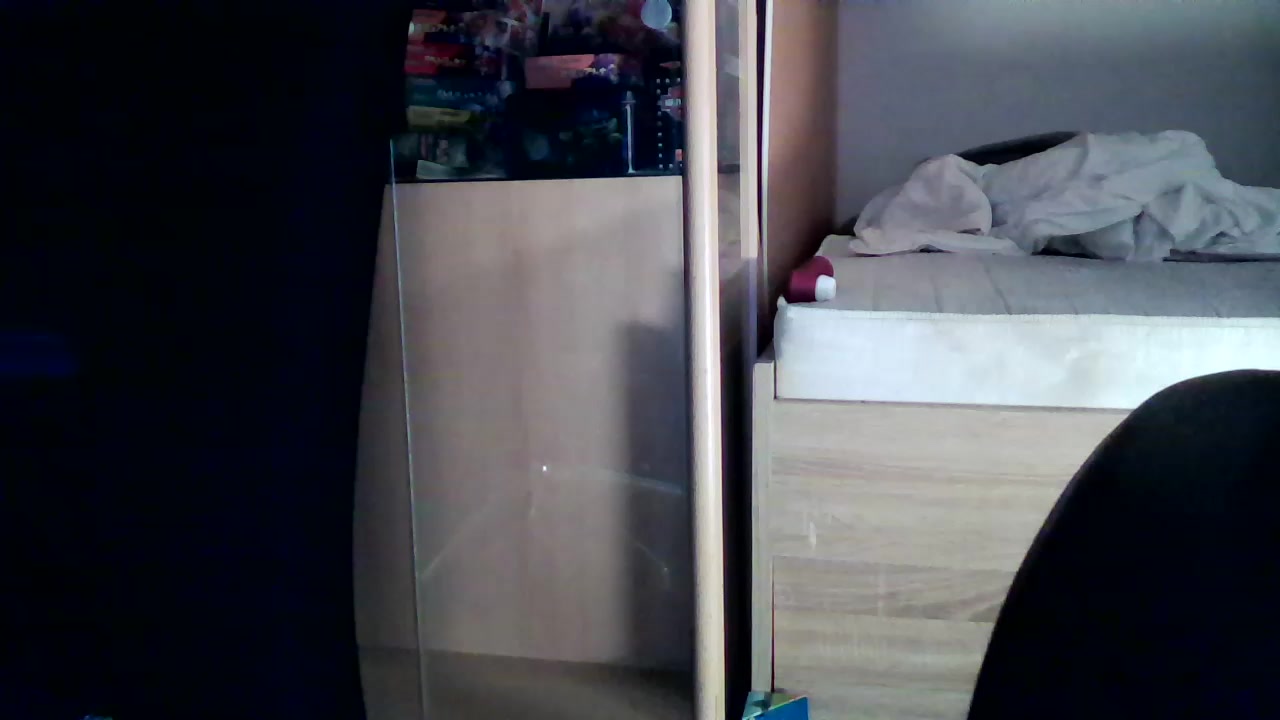 AlbPaar Live Cam Screenshot – 2025-08-29 19:39:55