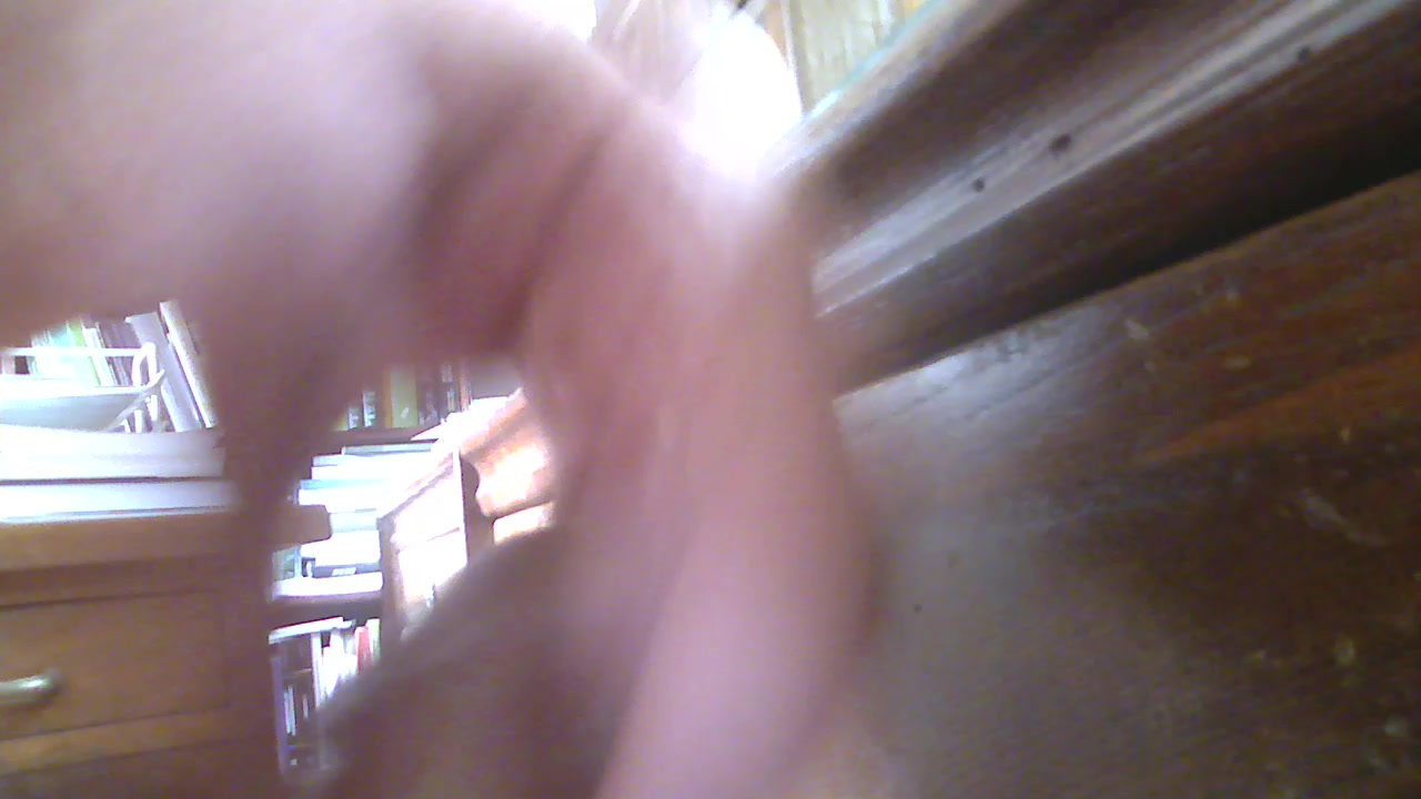 Barone64 Live Cam Screenshot – 2025-08-21 08:12:31