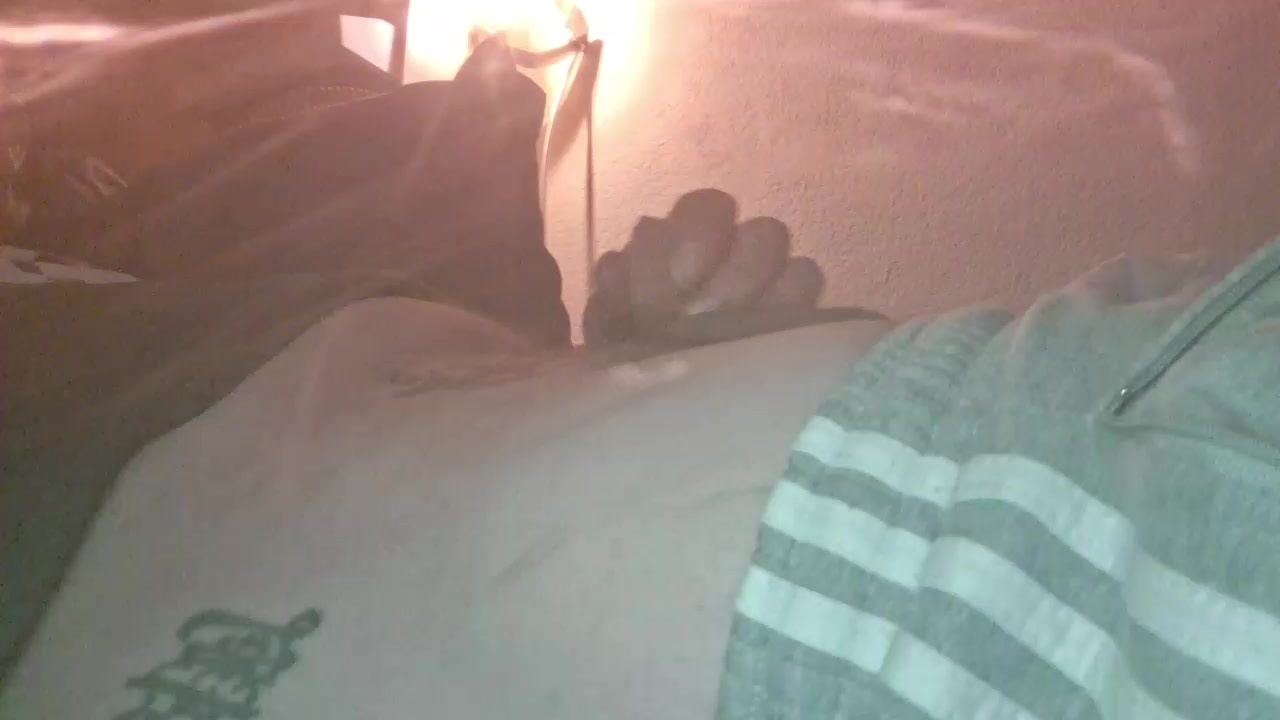 Bigbadabeez Live Cam Screenshot – 2025-08-23 03:18:23