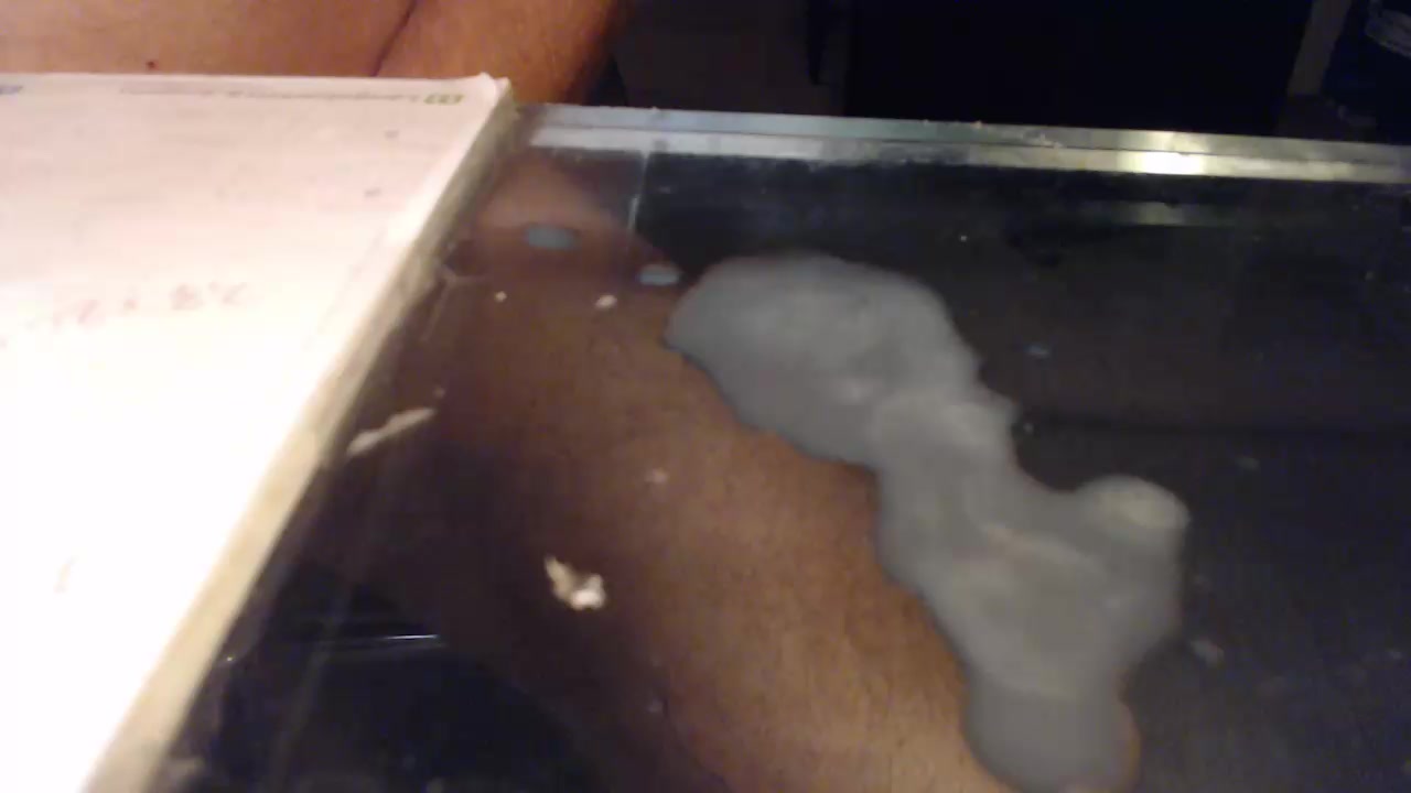 Bipaul052 Live Cam Screenshot – 2025-08-04 23:25:31
