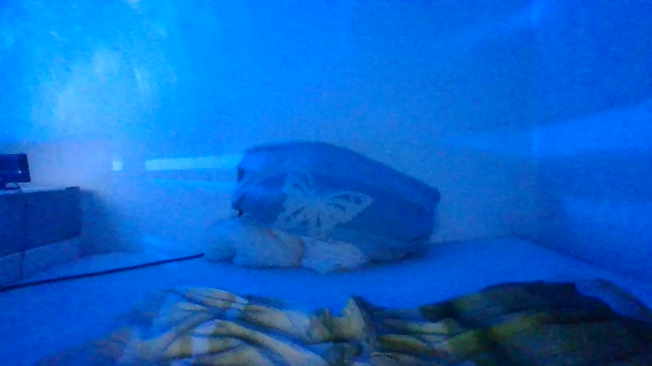 Boxenluder90 Live Cam Screenshot – 2025-09-08 19:55:12