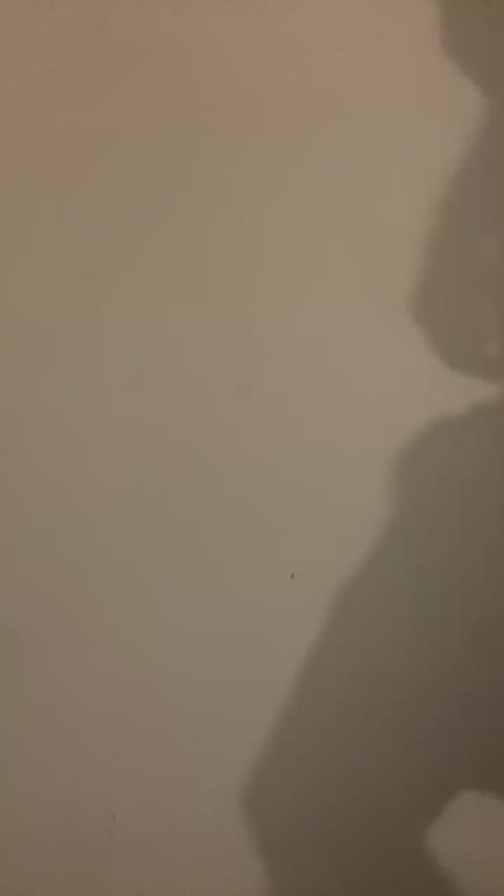 Britishcucumber Live Cam Screenshot – 2025-09-01 09:24:32