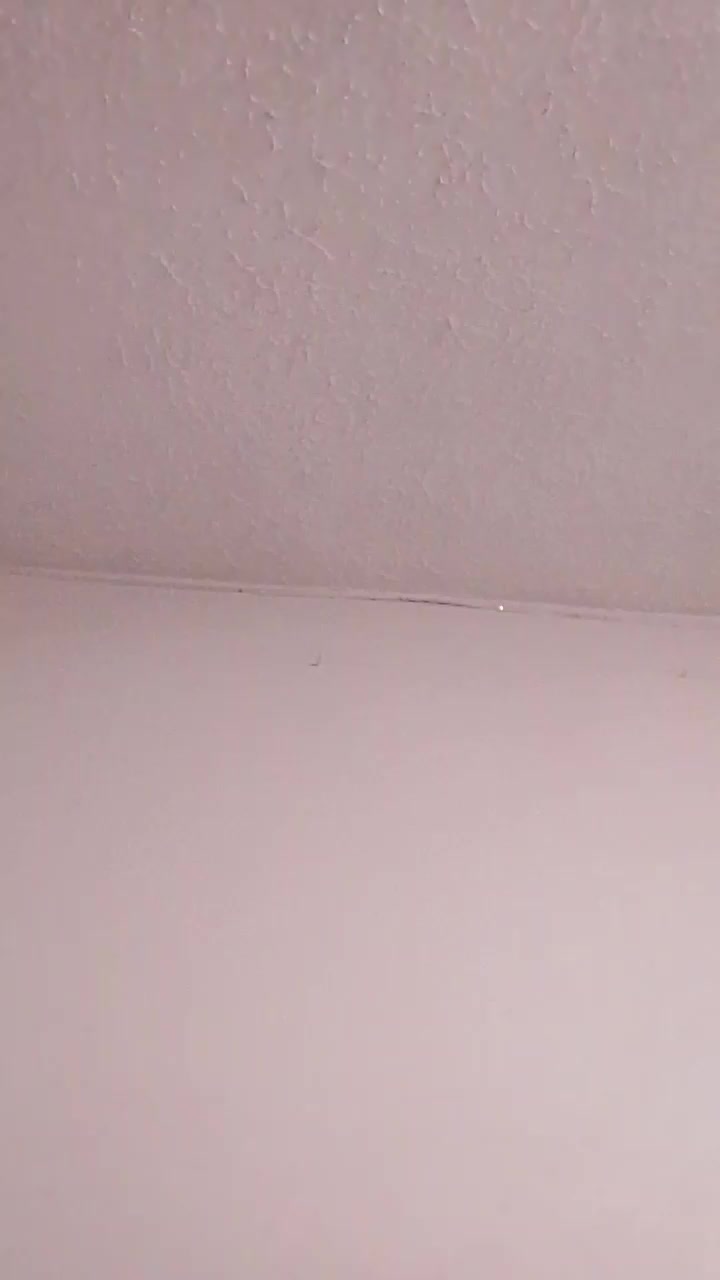 CATNELAA1 Live Cam Screenshot – 2025-08-08 21:34:44