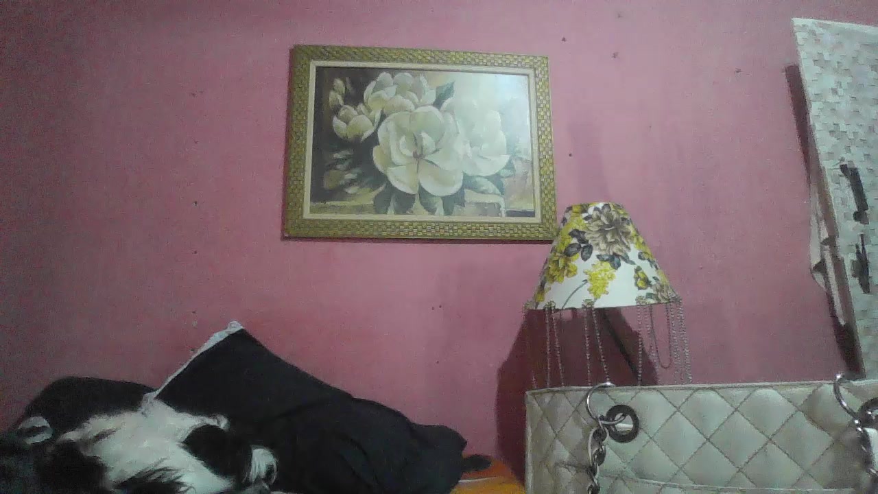 Carol2289 Live Cam Screenshot – 2025-08-15 17:53:43