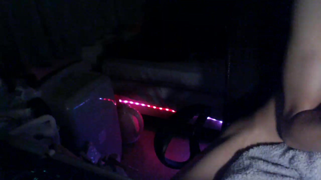 CastorYang Live Cam Screenshot – 2025-08-19 17:29:29