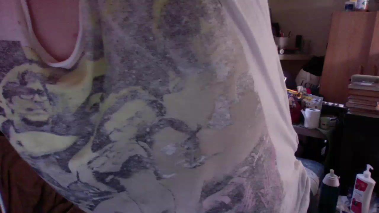 CeraLuci Live Cam Screenshot – 2025-08-06 23:13:36