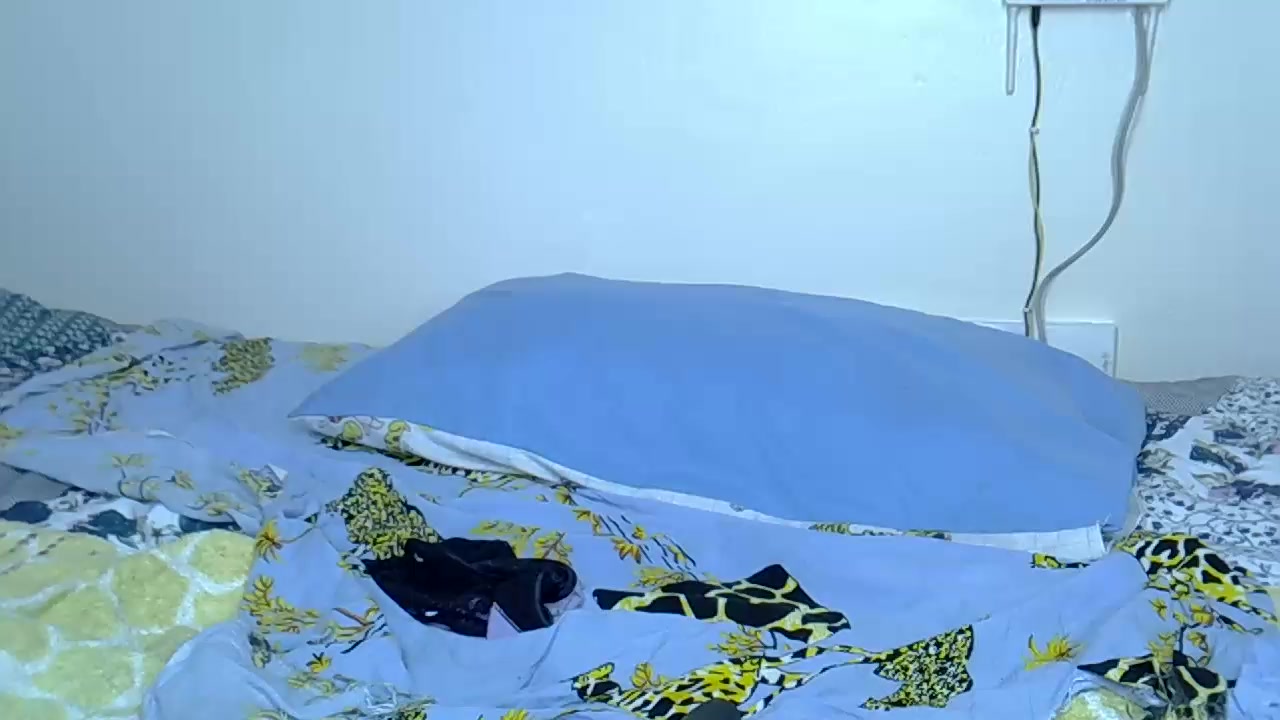 Corallove1 Live Cam Screenshot – 2025-08-29 03:44:24