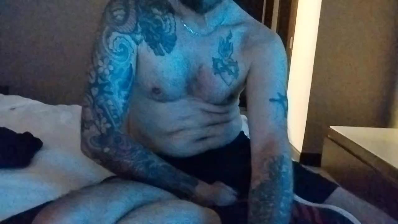 DomDogAdidas Live Cam Screenshot – 2025-08-04 08:16:04