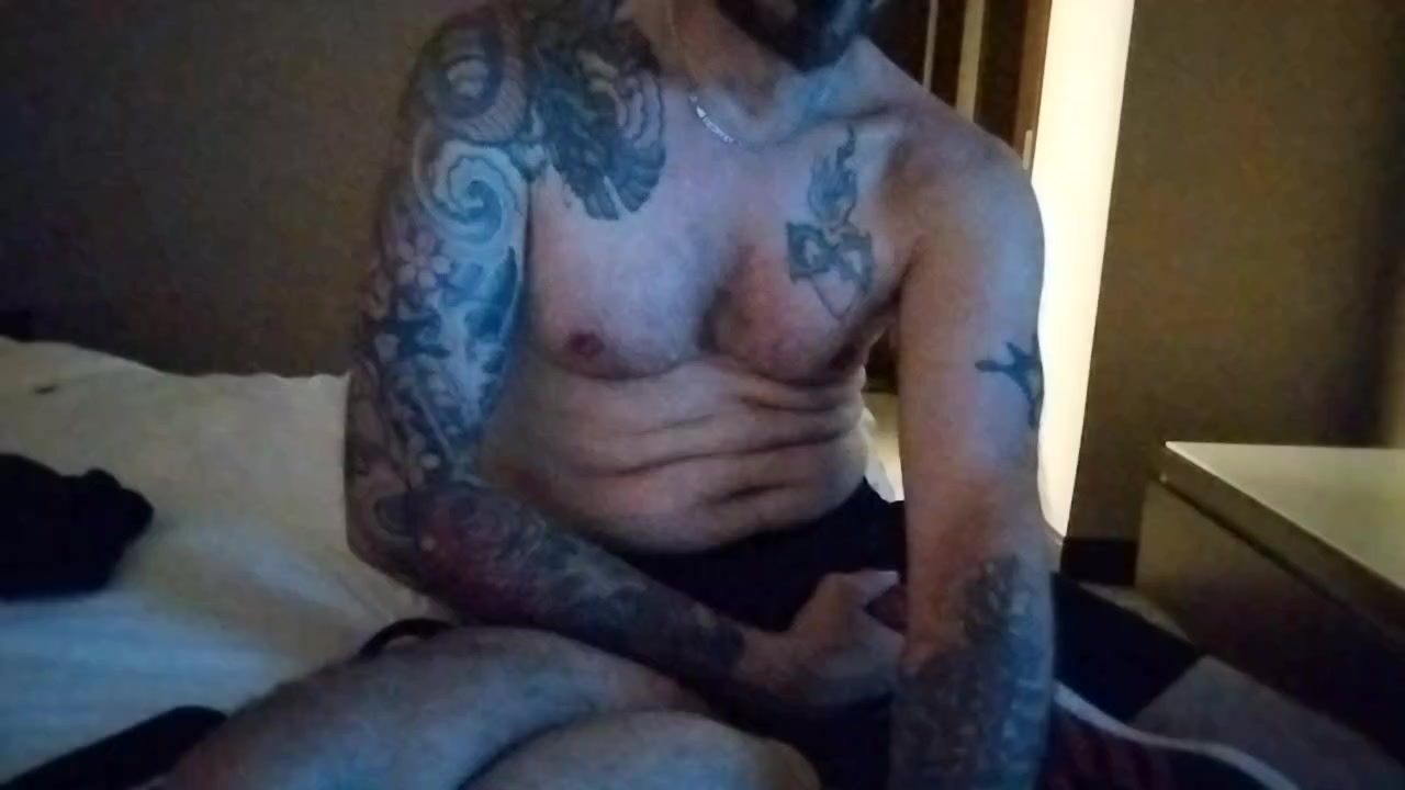 DomDogAdidas Live Cam Screenshot – 2025-08-04 08:31:16