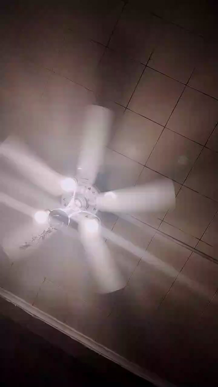 Dontbejelly2 Live Cam Screenshot – 2025-08-04 21:19:05