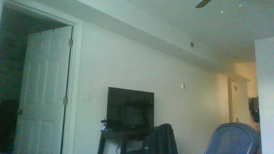 Dream_Dog Live Cam Screenshot – 2025-08-08 15:37:00