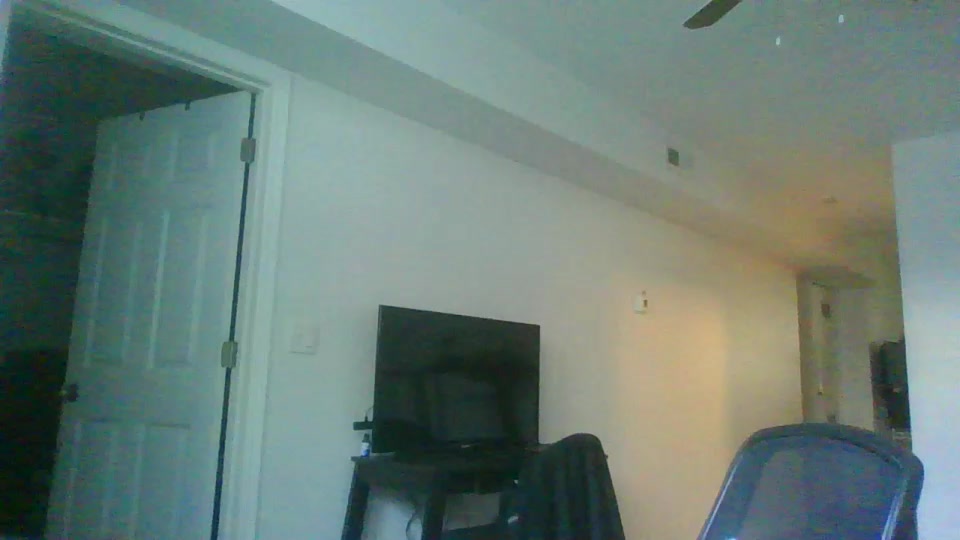 Dream_Dog Live Cam Screenshot – 2025-08-08 16:07:54