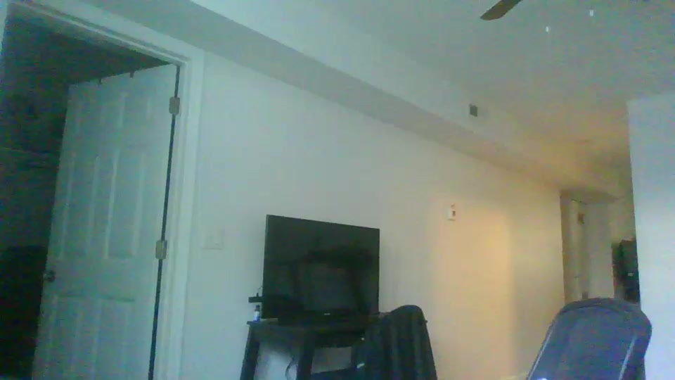 Dream_Dog Live Cam Screenshot – 2025-08-08 16:25:00