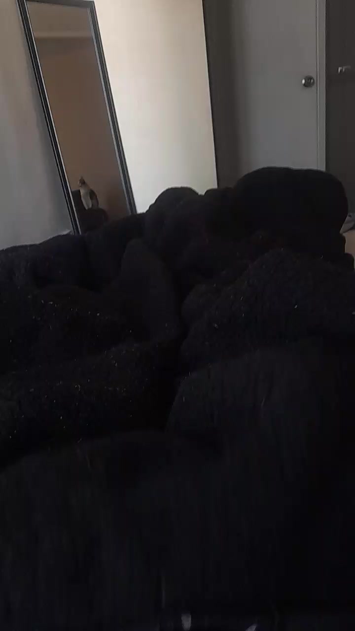 Eduardo12322 Live Cam Screenshot – 2025-08-08 15:30:53
