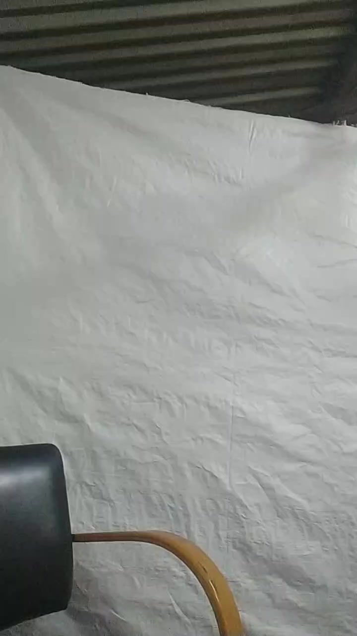 Erivita Live Cam Screenshot – 2025-08-12 09:42:24