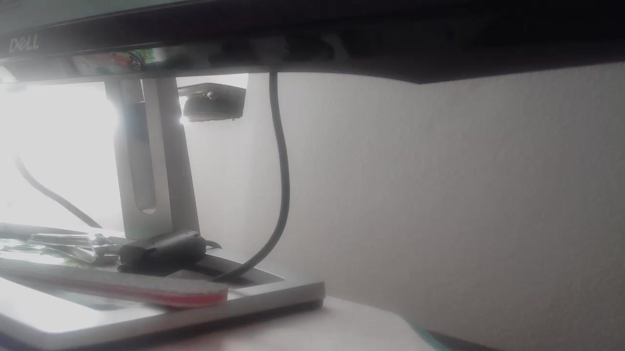 Evelynes Live Cam Screenshot – 2025-08-04 08:55:00