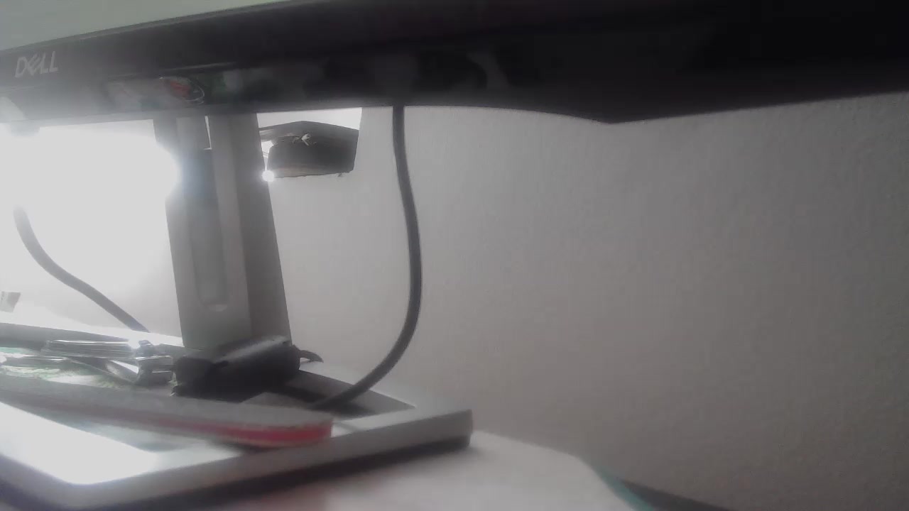 Evelynes Live Cam Screenshot – 2025-08-04 09:25:04