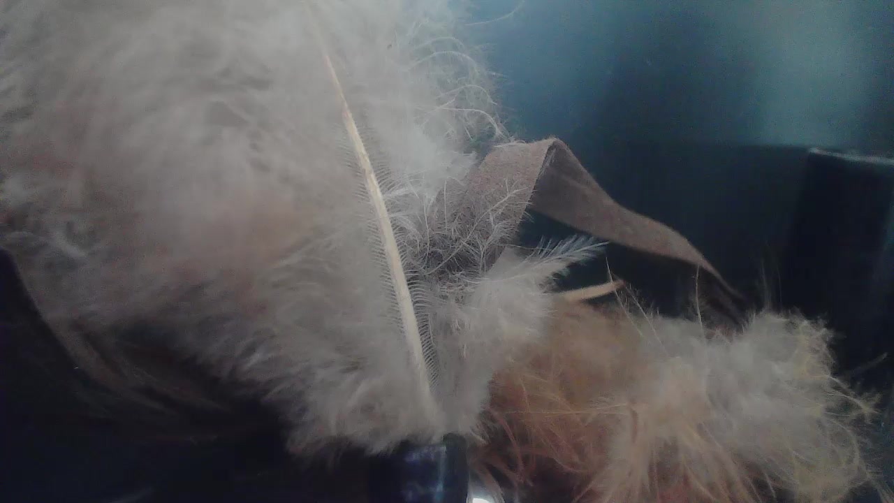 Evelynes Live Cam Screenshot – 2025-08-20 11:14:27