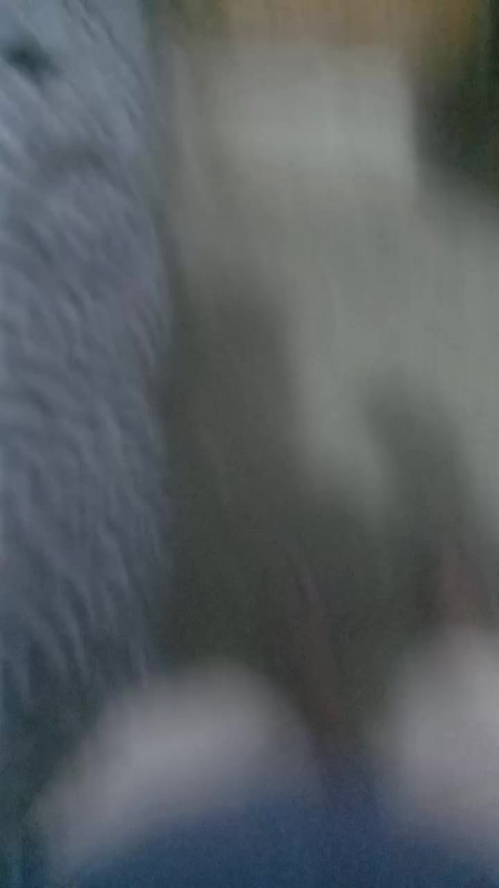 Glaytork72 Live Cam Screenshot – 2025-08-08 12:42:18