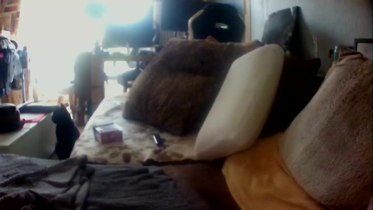 Goodmcluckbln Live Cam Screenshot – 2025-08-24 15:53:16