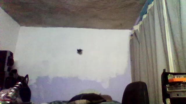 HERTROK_Poringa Live Cam Screenshot – 2025-09-06 04:18:17