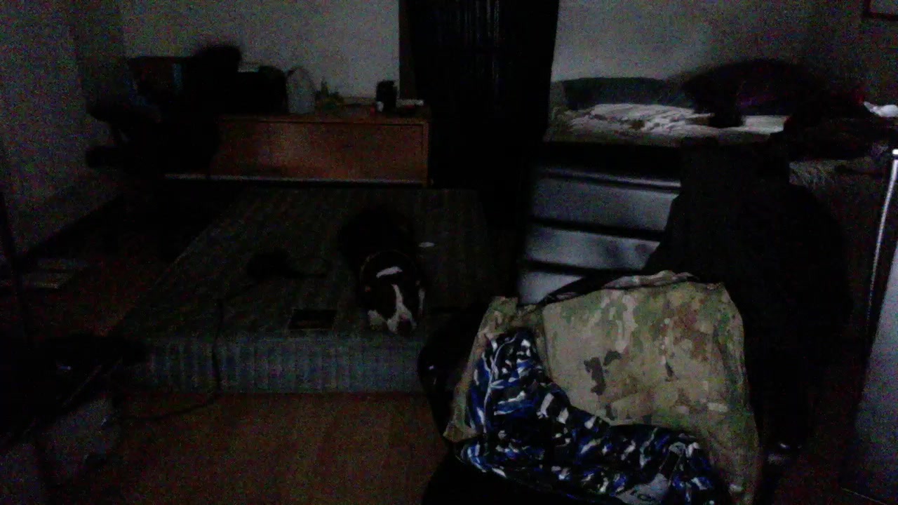 Jdf335 Live Cam Screenshot – 2025-08-05 11:50:49