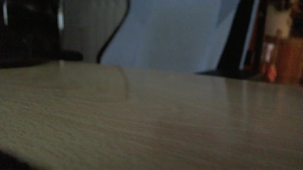 Ligank Live Cam Screenshot – 2025-08-05 16:49:18