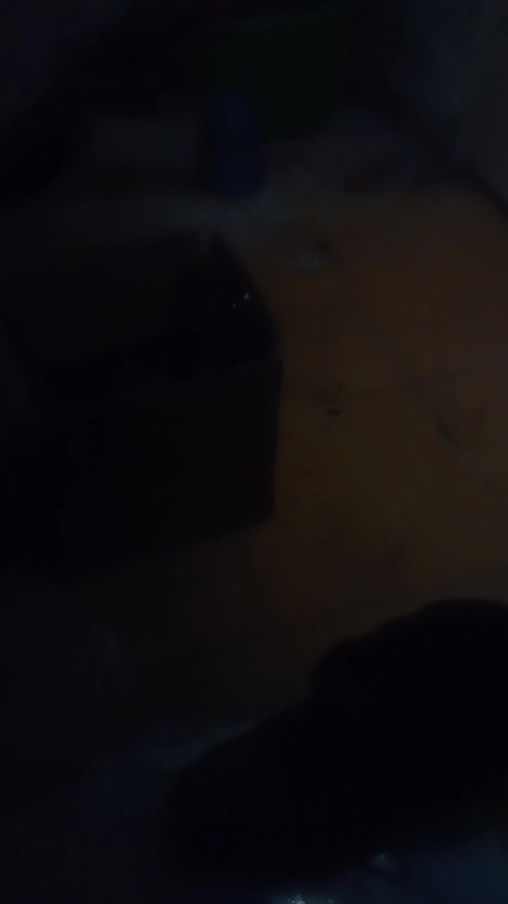 Paratialone1 Live Cam Screenshot – 2025-08-05 11:04:39