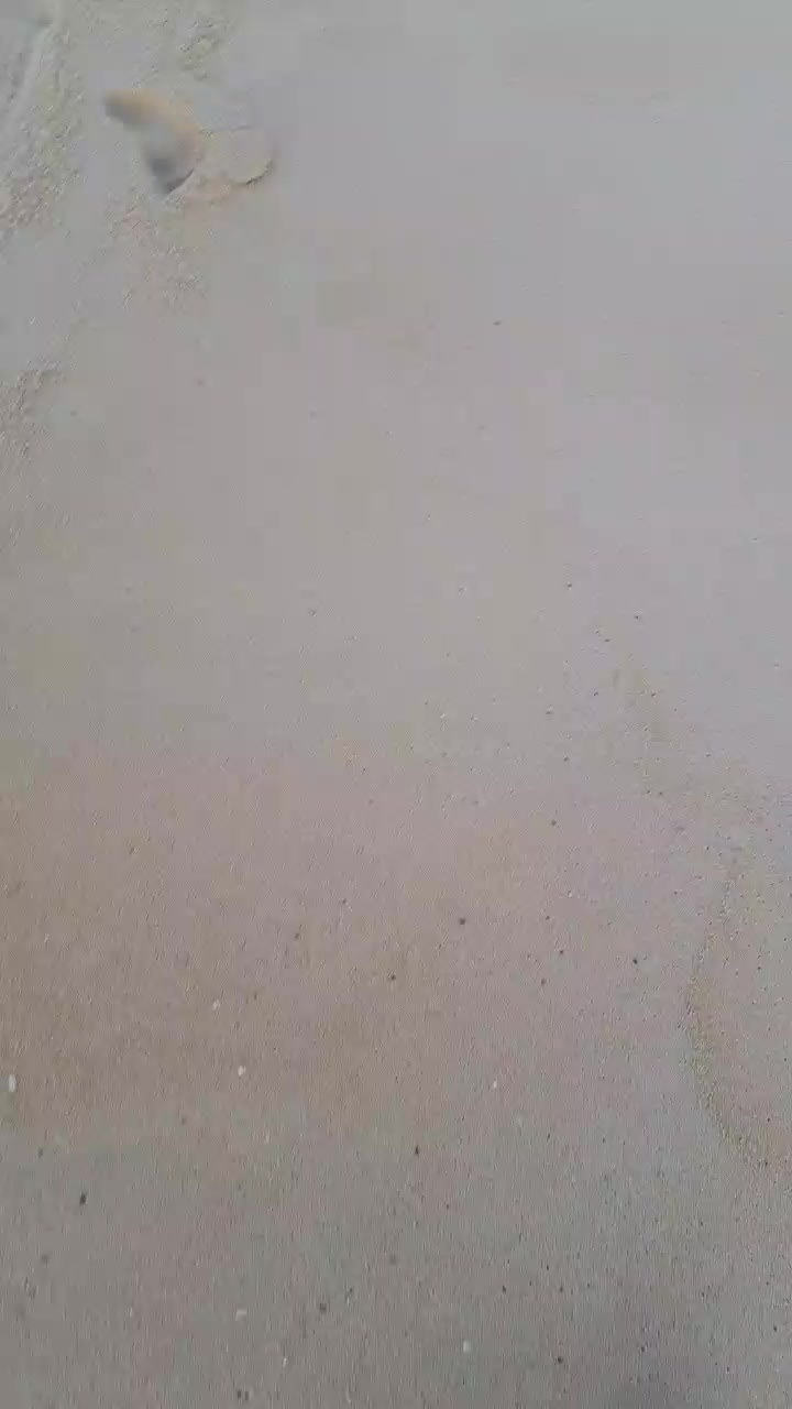 Ribeirosiebes Live Cam Screenshot – 2025-08-08 20:04:07