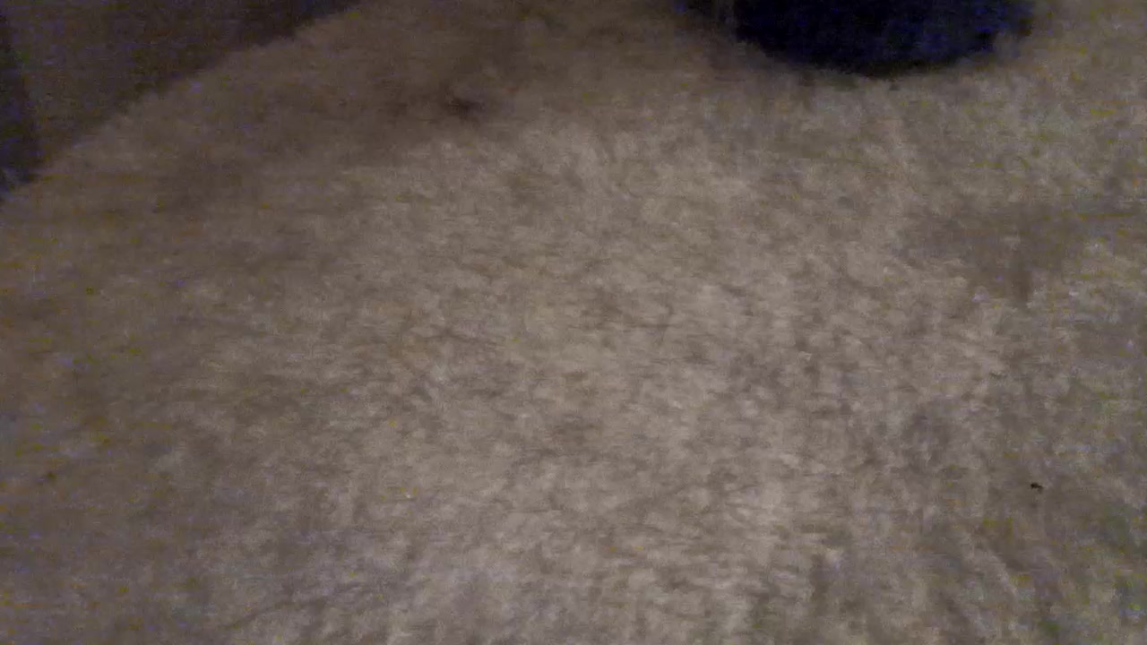 Rogerto86 Live Cam Screenshot – 2025-09-10 05:26:34