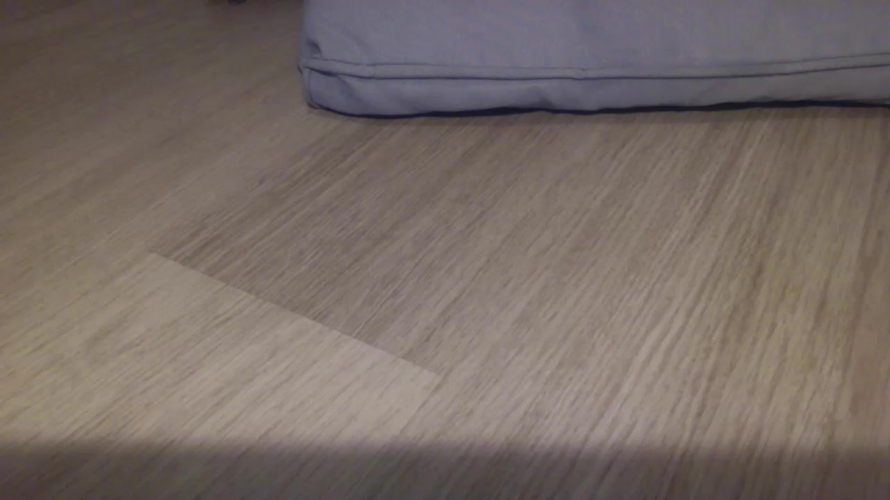 Samsmitsh Live Cam Screenshot – 2025-08-03 21:24:32