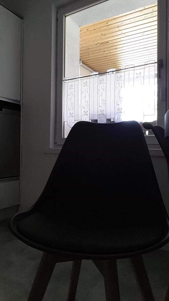 Schlaffieh Live Cam Screenshot – 2025-08-19 10:01:19