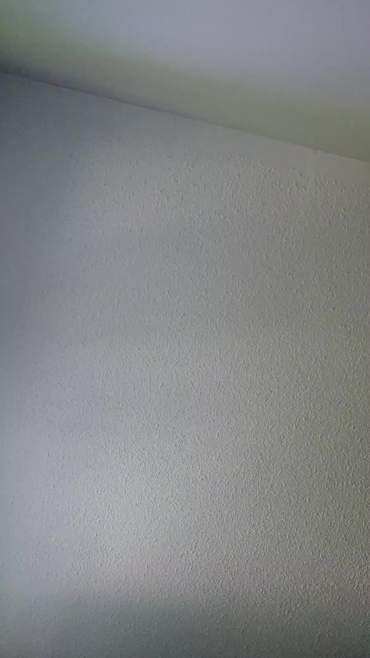 SeaBrix Live Cam Screenshot – 2025-08-05 20:58:26