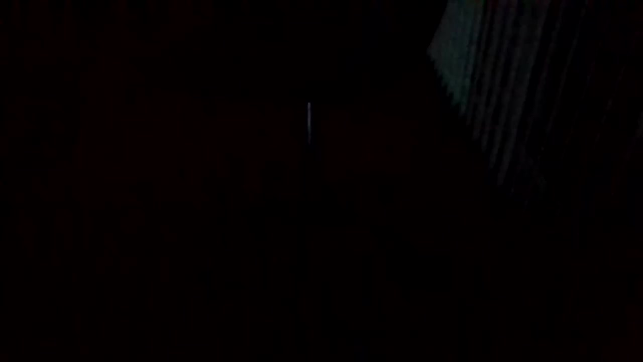 Silkworm_Piper Live Cam Screenshot – 2025-08-04 12:49:39