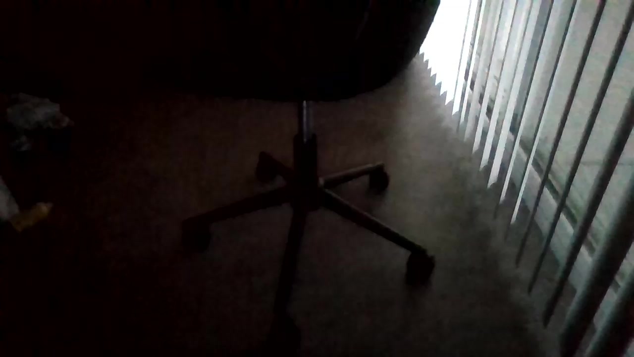 Silkworm_Piper Live Cam Screenshot – 2025-08-04 13:05:15