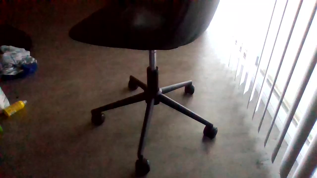 Silkworm_Piper Live Cam Screenshot – 2025-08-04 13:23:56