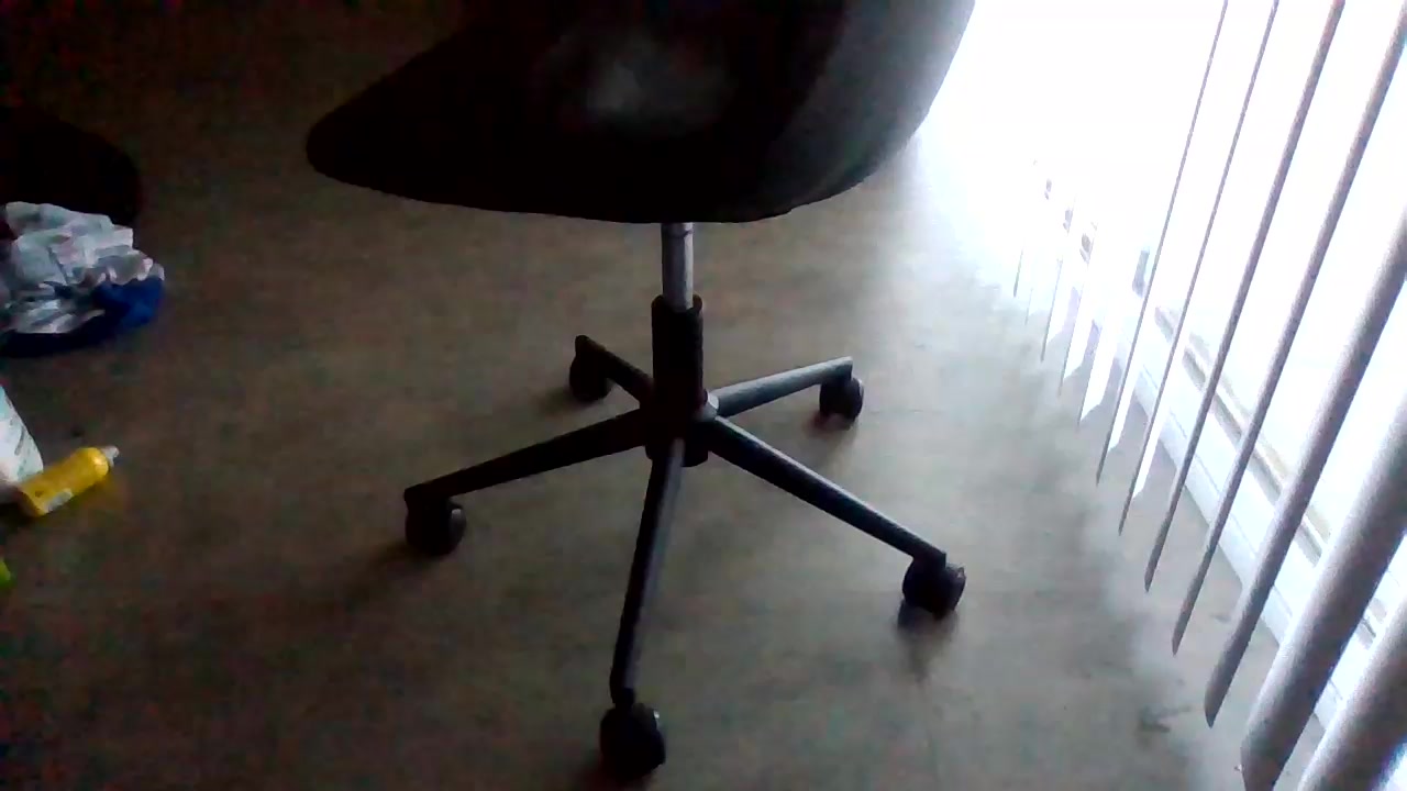 Silkworm_Piper Live Cam Screenshot – 2025-08-04 13:48:30