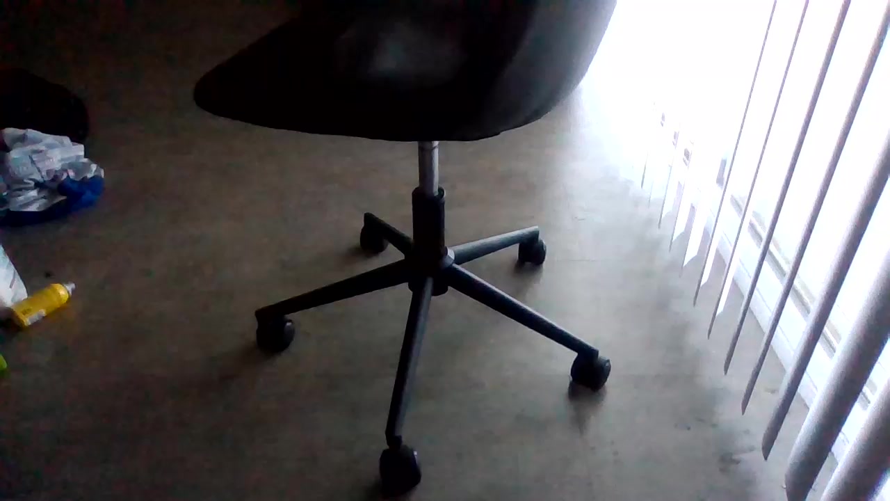 Silkworm_Piper Live Cam Screenshot – 2025-08-04 14:12:34