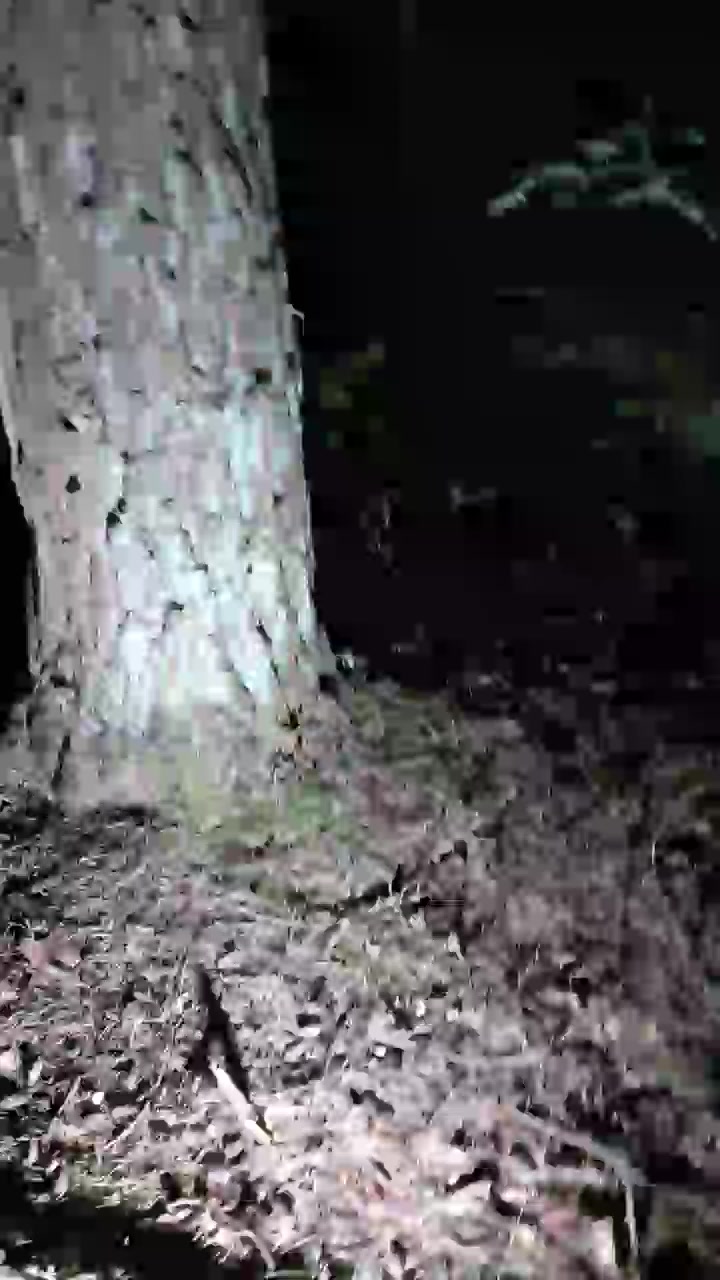 Spermafontijn Live Cam Screenshot – 2025-08-06 03:39:40
