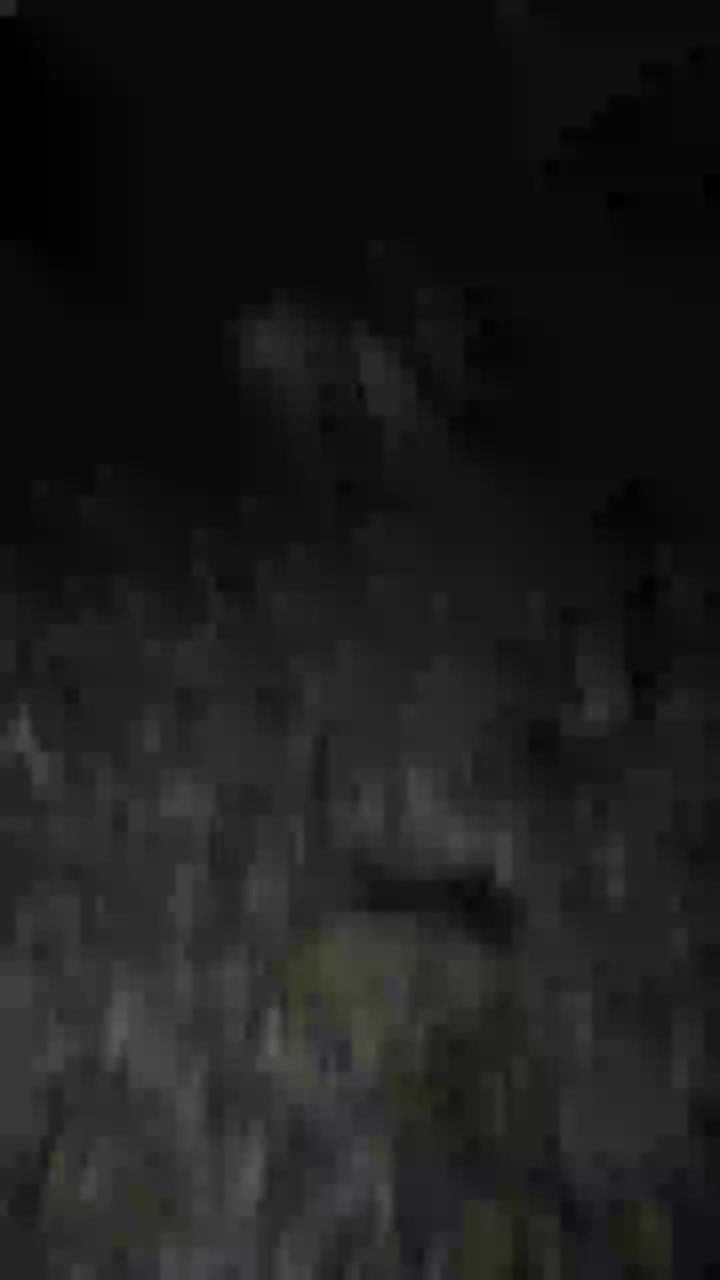 Spermafontijn Live Cam Screenshot – 2025-08-06 03:59:50