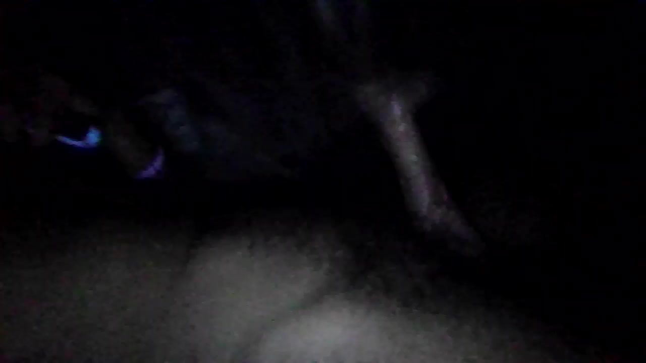 SteeleSarcastic Live Cam Screenshot – 2025-08-10 11:31:57