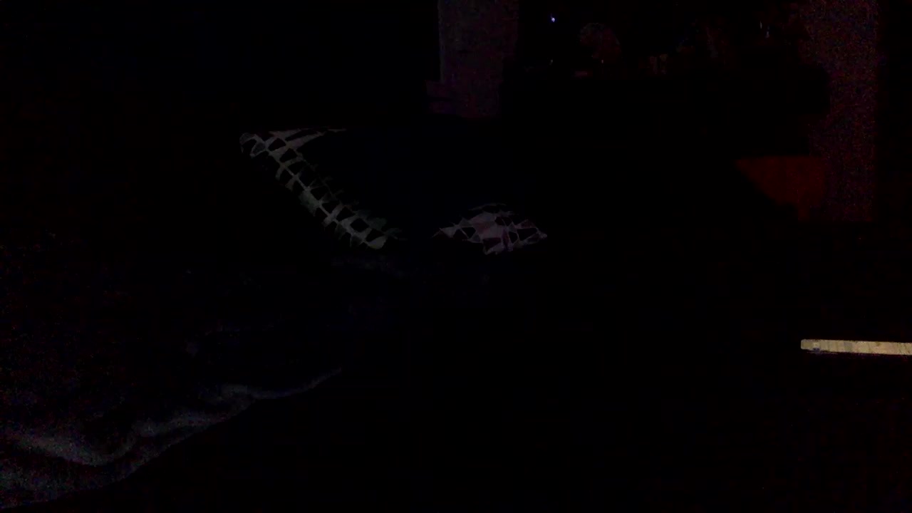 TLT83 Live Cam Screenshot – 2025-08-13 23:38:22