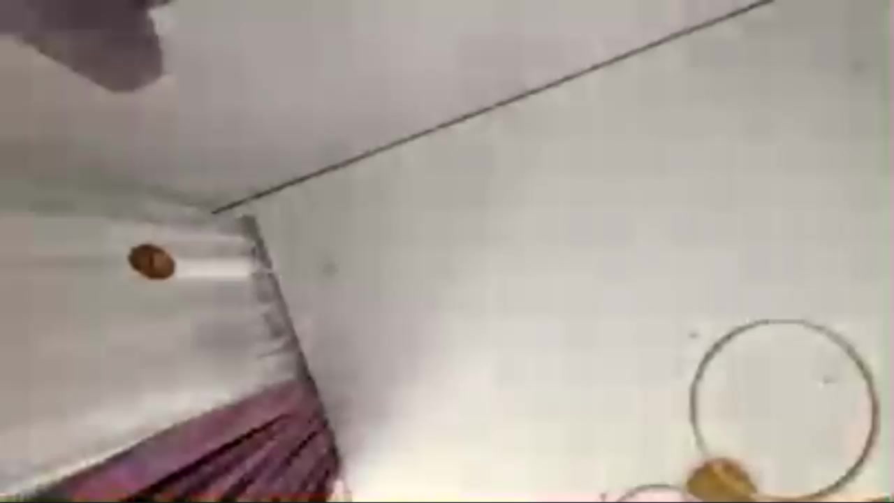 TaniaDefilippo Live Cam Screenshot – 2025-08-05 08:20:46