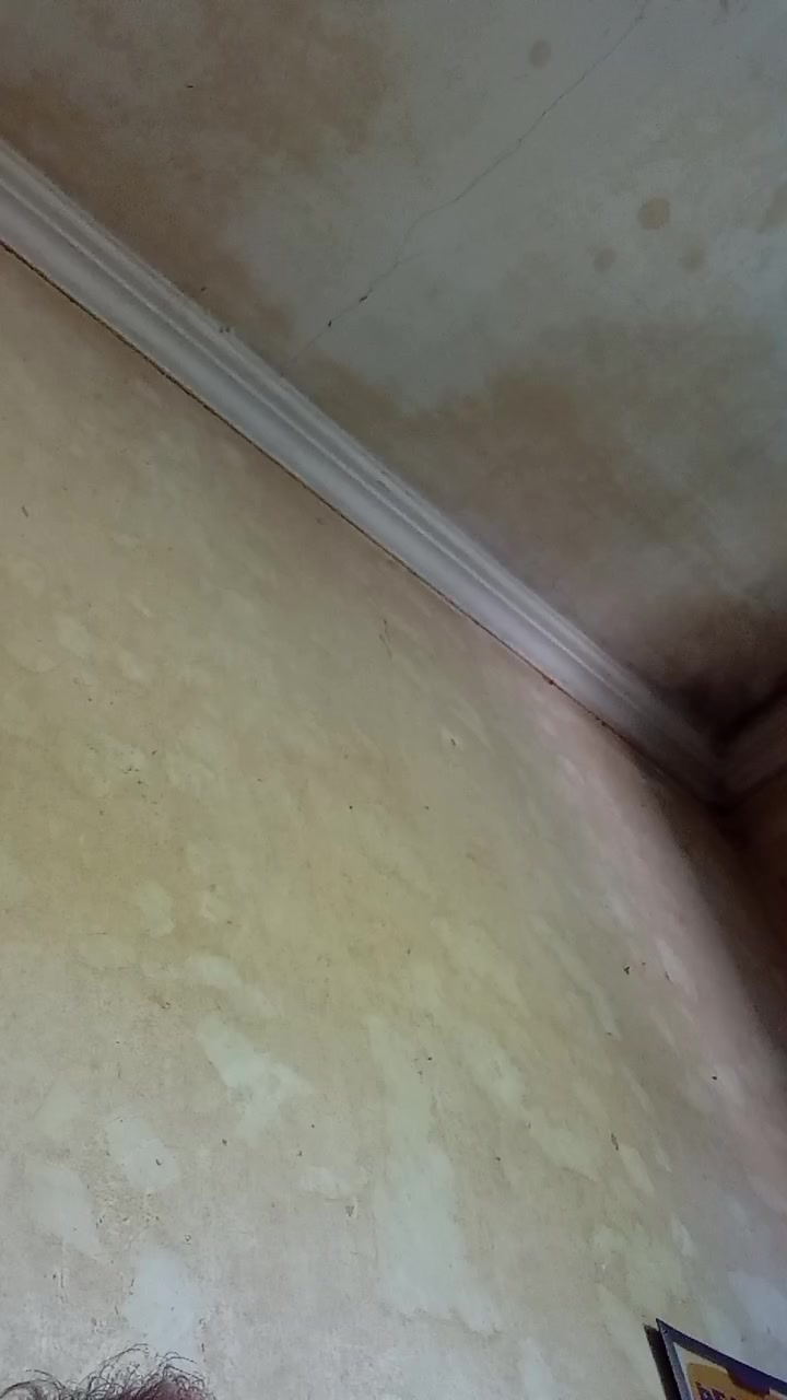 Trolls37 Live Cam Screenshot – 2025-08-04 08:18:43
