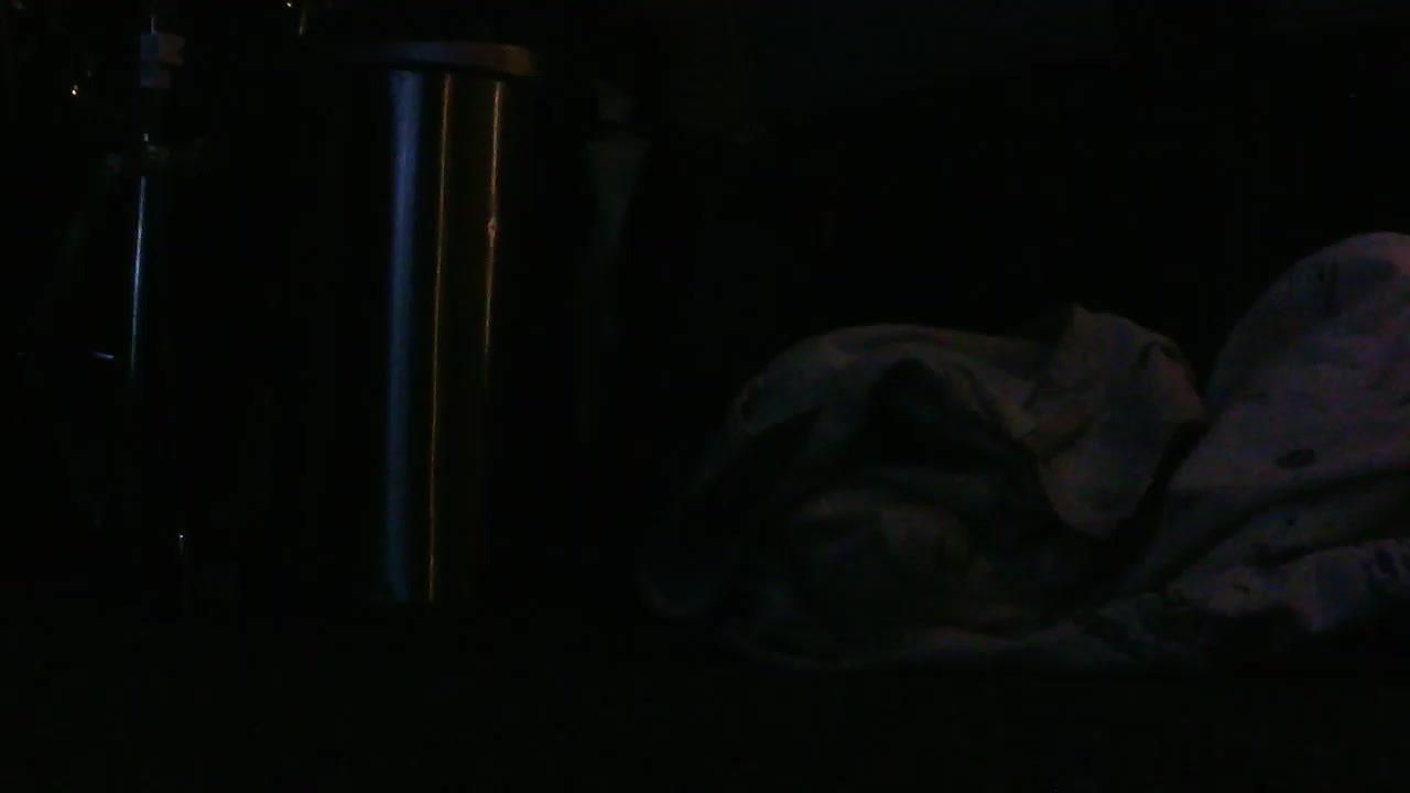 UseDatman Live Cam Screenshot – 2025-08-03 21:52:35