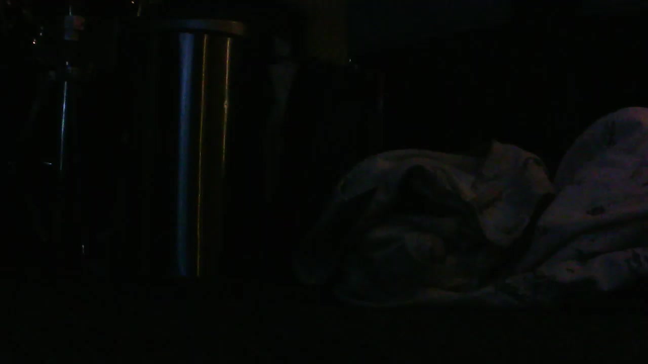 UseDatman Live Cam Screenshot – 2025-08-03 22:26:36