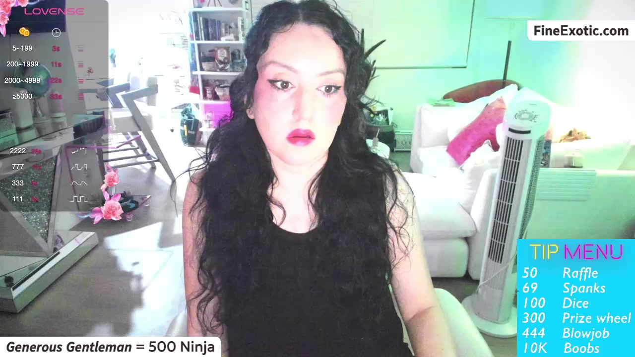Vesafine Live Cam Screenshot – 2025-08-14 03:40:24