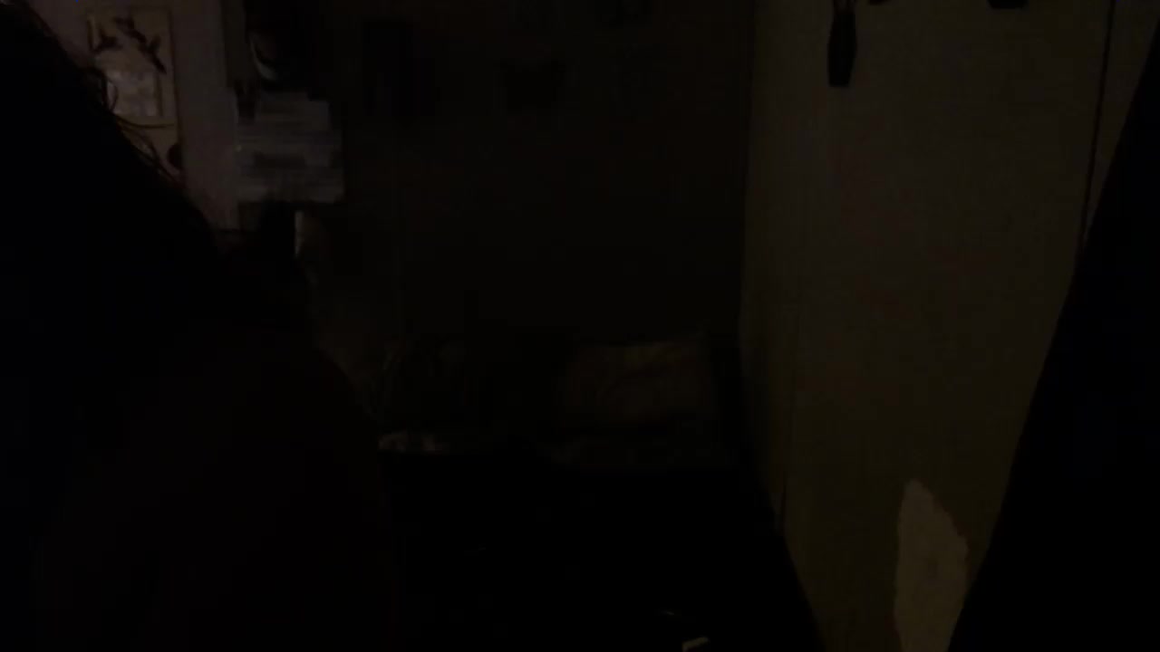 Vividvista Live Cam Screenshot – 2025-08-04 11:54:47