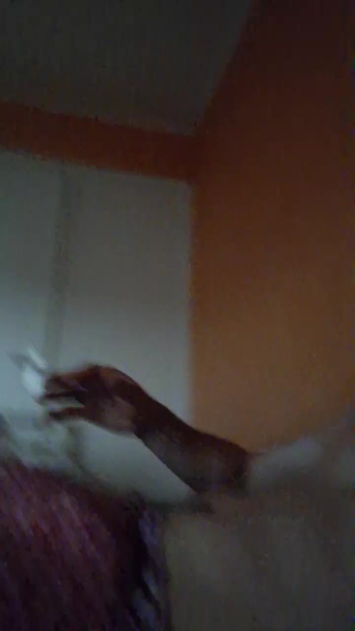 Yebote Live Cam Screenshot – 2025-08-21 12:12:16